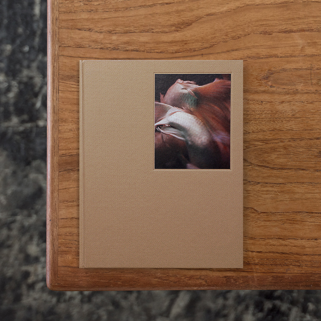 Teresa Engの写真集『チャイナ・ドリーム』は、生まれ育った国と母国との間で揺れる第二世代ディアスポラの分断されたアイデンティティを考察する一冊。
Engは2013年〜2017年に祖国を訪れ、彼女の持つ観念と、建設・破壊・再建が繰り返される変化の現実を対比させました。作品は暗室で色彩をそぎ落とすことでこの現実を表現しています。中国が未来を築きつつ過去を再構築する中で、歴史的建造物は複製として場当たり的に再建されています。
このタイトルは習近平総書記が広めた言葉であり、勤勉による繁栄を意味する「アメリカン・ドリーム」を暗示しています。

#ChinaDream#TeresaEng#Skinnerboox#graphic#photo #photograph #designbook #artbook #photobook #photographer#design#art