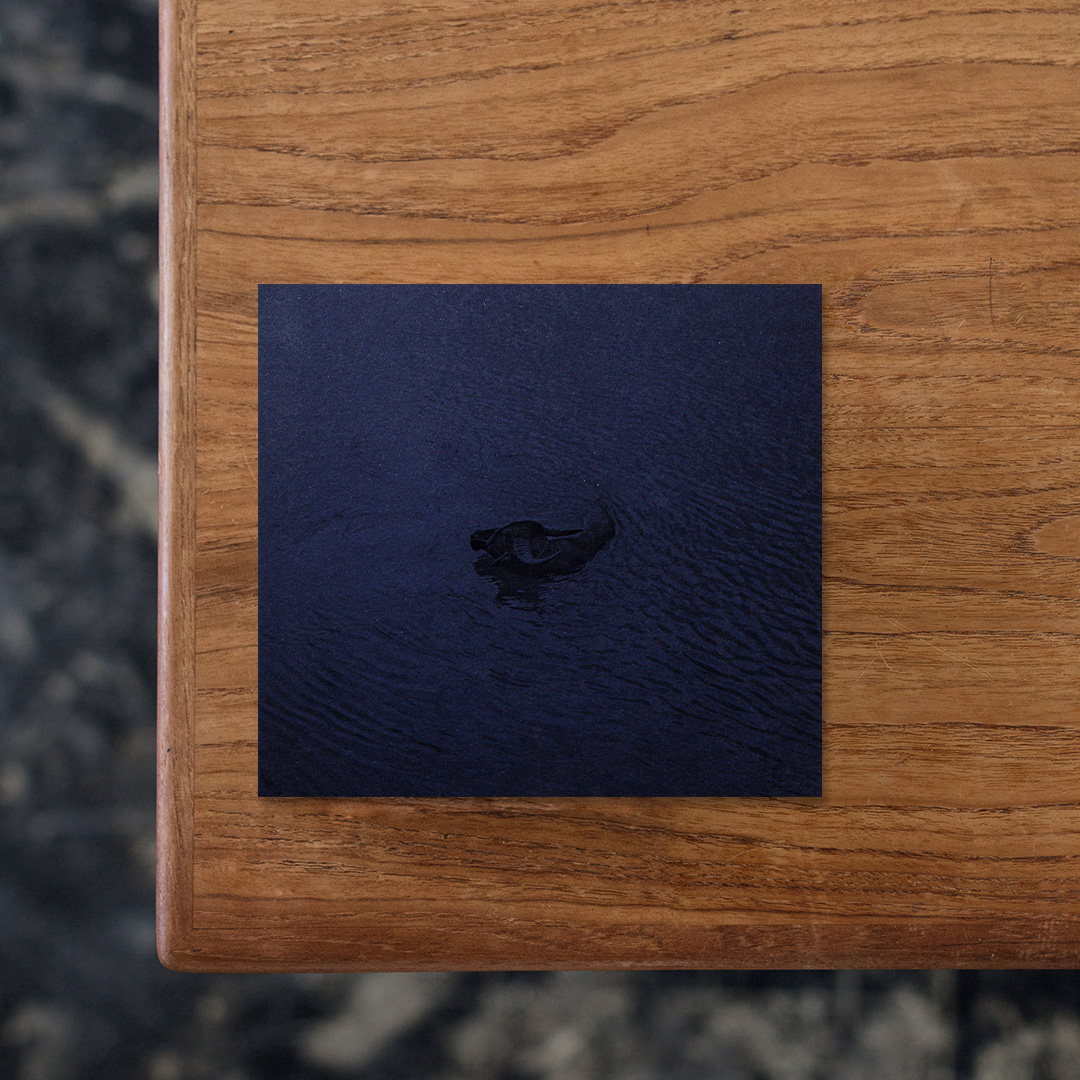 「Flood Me, I'll be Here」の舞台は、世界最大の河川島、マジュリ島。写真家Andras Zoltai（アンドラス・ゾルタイ）は、人々が自然と水との間に育む繊細で調和的、そして無防備な関係性を深く探求し、その記録を試みています。
本作は住民たちが持つ回復力や気候への適応力、そしてブラフマプトラ川との間に結ばれた神聖な絆を辿る、心象的な旅。
身体的、社会的、精神的な「孤立」というテーマを見つめ、人々がこの大河にどう向き合い、絶え間なく変化する環境とどのように心を通わせているのかを、静かに写真へと閉じ込めています。

#FloodMeI'llbeHere#AndrásZoltai#Carmencita#graphic#photo #photograph #designbook #artbook #photobook #photographer#design#art