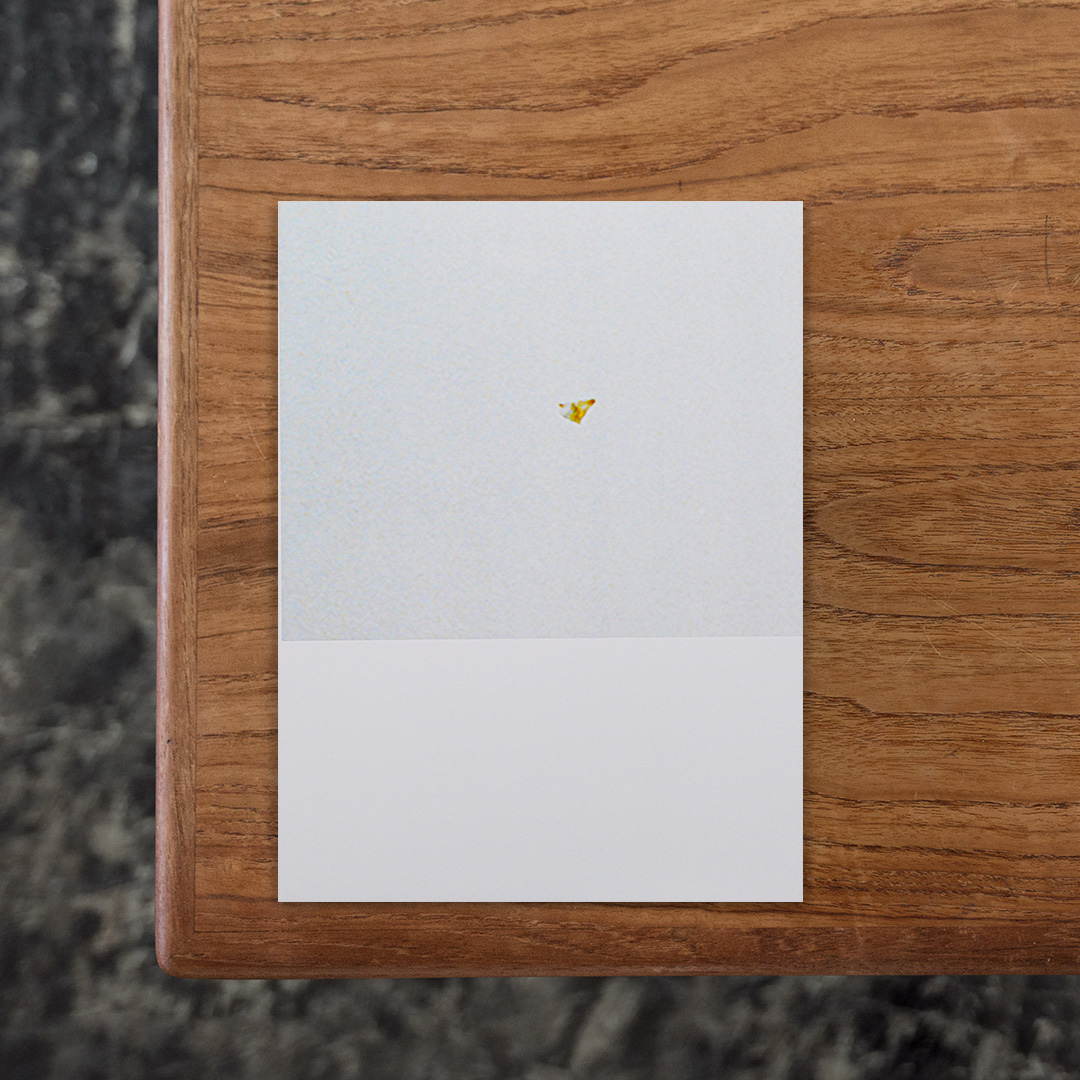 ベルリン出身で、現在はライプツィヒを拠点に活動するアーティスト・Alba Frenzel（アルバ・フレンツェル）の作品集。
カメラ内部でのフィルムの巻取りや、現像する過程、さらにネガから引き伸ばしてプリントする過程で生じたシミや傷は、これまで写真のクオリティを下げる存在として憚られ、その多くは修正が加えられてきました。
そしてデジタルカメラが誕生してからは、データとして撮影した写真が保存されるようになったことでネガが不必要となり、物理的な傷や汚れといった破損が生じるリスクは解消されました。
本書はアルパがネガフィルムやプリント上のシミや傷の存在を絶滅の危機に瀕している「生き物」と称して採集した計276点のイメージを発見日順に並べてまとめたもので、装丁やデザインもアルバ自身によるもの。
厄介者として爪弾きにされてきた存在のシミや傷だけをまとめることで、アナログならではの意図せぬ偶然の発生とその多様性を示しています。

#KREATURO.T.#AlbaFrenzel#VexerVerlag#graphic#photo #photograph #designbook #artbook #photobook #photographer#design#art