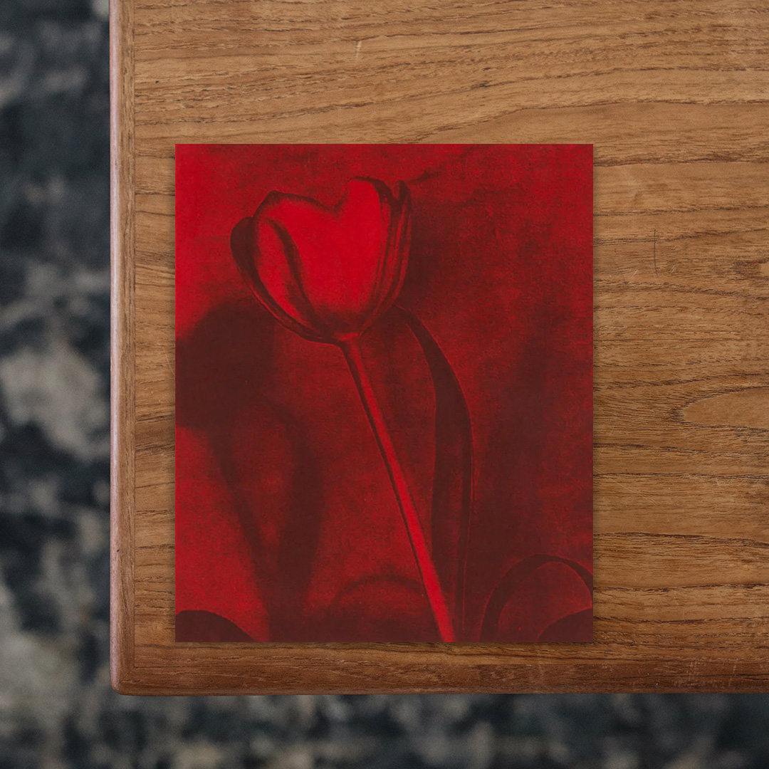 イギリス人アーティスト、Poppy Jones（ポピー・ジョーンズ）の初作品集。
アート、デザイン、ファッションが文化の規範に入り込む道筋に関心を持ち続け、日常だけでなく歴史の中からも共鳴を見出しているジョーンズが4年間に渡り制作した90点の作品に光を当てています。
静物画は絵画とオブジェのあいだに位置しているようで、イースト・サセックスの自宅での日用品をモチーフに、スエードやシルク、コットンといった布地に写真やリトグラフ、水彩を重ね、鮮やかなアルミ額に収めています。窓越しに私的な生活の断片を覗くような、親密で物質感に満ちた作品群を収録した一冊。

#POPPYJONES#ZOLOPRESS#graphic#photo #photograph #designbook #artbook #photobook #photographer#design#art